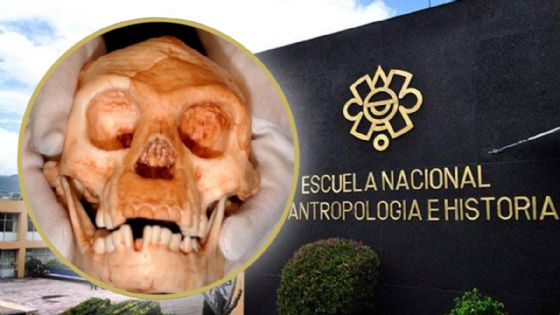 INAH estudia fósil humano de 8 mil años hallado en una cueva submarina en la Península de Yucatán