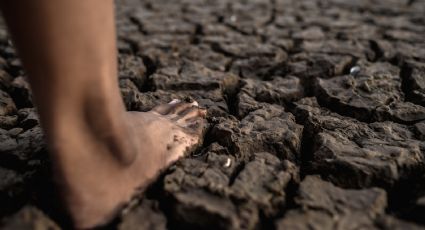Sequía en Yucatán: 19% del estado tiene afectaciones y crece el riesgo de incendios