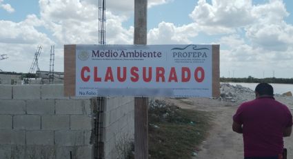 Clausuran obras en Chicxulub Puerto por daño ambiental: Profepa detecta relleno de humedales y tala