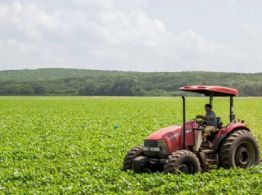 Lluvias impulsan el campo en Yucatán: milpa, miel y prevención de incendios se fortalecen