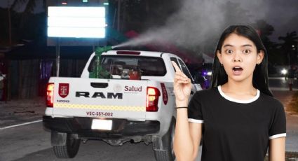 Fumigación contra el Chikungunya en Yucatán: ¿cuándo será y en qué municipios?
