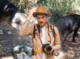 Captan a tapir herido y pidiendo ayuda a brigadista en Calakmul: VIDEO