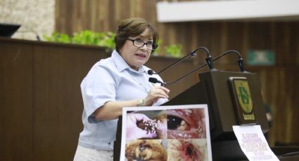 Diputada yucateca usa imagen de Kazajistán para generar alarma en torno del gusano barrenador