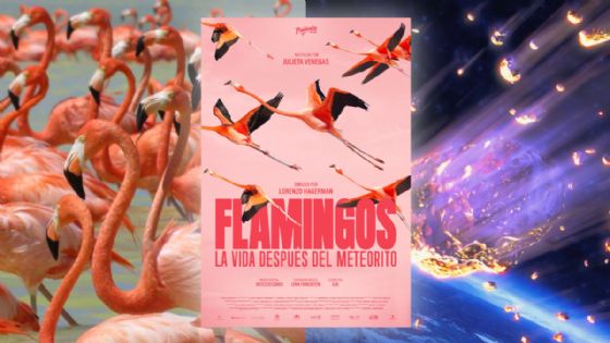 Flamingos: La vida después del meteorito: ¿en qué cines de Yucatán estará disponible?