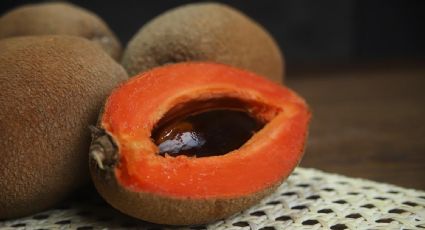 Yucatán consolida presencia en Europa y hace primer envío de mamey al Reino Unido