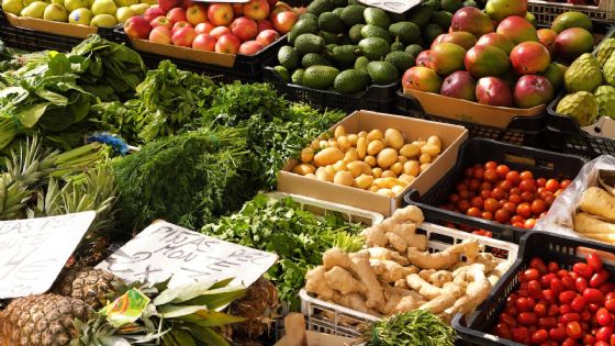 Yucatán, entre los estados con menor inflación mensual: INEGI