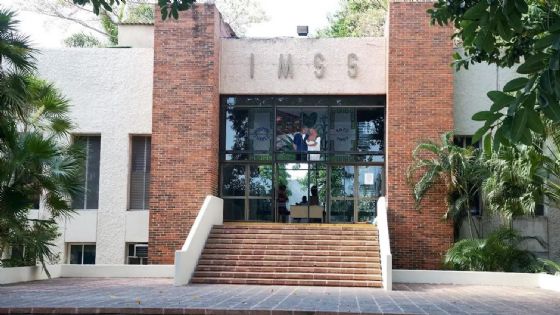 Donación de órganos: fallece a los 22 años y familia dona sus riñones en Yucatán