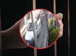 Mujer abandona a sus perritos en calles de Cholul: ¿podría ir a prisión? Esto dice la Ley en Yucatán