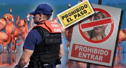 Yucatán refuerza control en zonas de flamencos tras incidentes virales