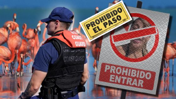 Yucatán refuerza control en zonas de flamencos tras incidentes virales