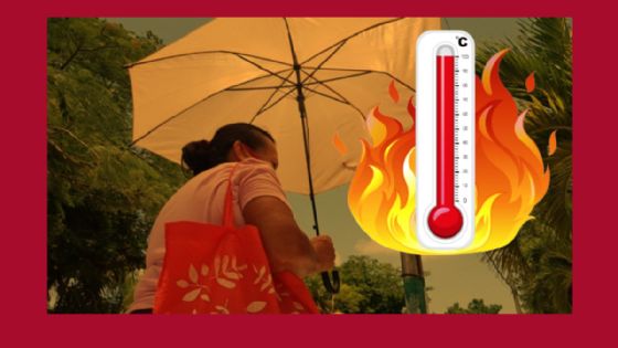 Mérida llegará hasta los 42 grados por el fenómeno "Isla de Calor Urbana" | TEN CUIDADO