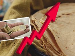 Sube el precio de la tortilla en Mérida: cuánto cuesta el kilo en Yucatán y por qué aumenta