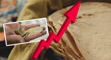Sube el precio de la tortilla en Mérida: cuánto cuesta el kilo en Yucatán y por qué aumenta