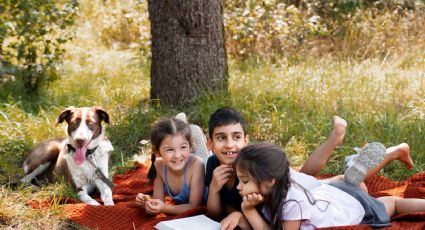 Clima en Yucatán: El sol y el cielo despejado serán la constante este jueves 16 de abril