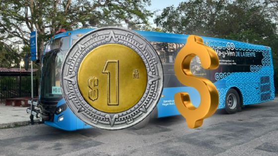 ATY anuncia tarifa fija en rutas turísticas de Yucatán: Este es el precio oficial