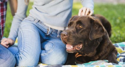 Clima en Yucatán: Entre el calor y lluvias ligeras pasaremos este martes 21 de abril