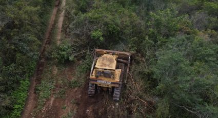Reserva Cuxtal: vinculan a proceso a dos personas por delitos ambientales