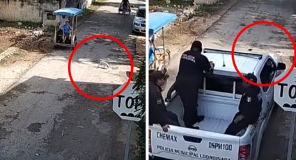 Indignación en Chemax: Patrulla atropella a perrito | esto sabemos del caso
