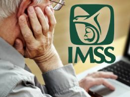 Tarjetón Digital IMSS 2026: Cómo obtenerlo PASO A PASO si eres trabajador o pensionado en Yucatán