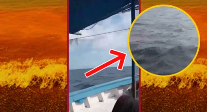¿Regresó la Marea Roja a Yucatán? lo que se sabe tras videos virales en Dzilam de Bravo