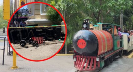 Revelan la causa del accidente en trenecito del Centenario: desmienten una amputación tras percance