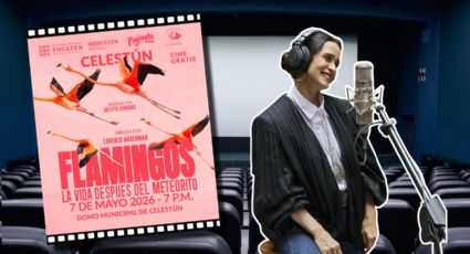 Anuncian FUNCIONES GRATIS del documental "Flamingos, la vida después del meteorito": Dónde y cuándo