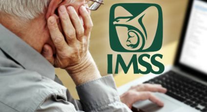 Tarjetón Digital IMSS 2026: Cómo obtenerlo PASO A PASO si eres trabajador o pensionado en Yucatán