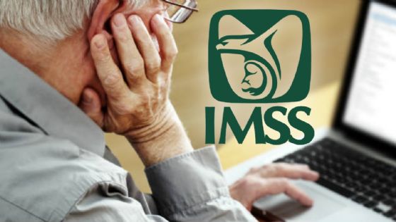 Tarjetón Digital IMSS 2026: Cómo obtenerlo PASO A PASO si eres trabajador o pensionado en Yucatán