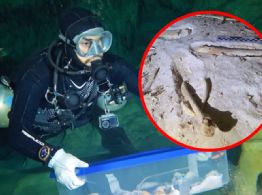 Encuentran fósil humano de hasta 10 mil años en Quintana Roo; lo estudiará el INAH