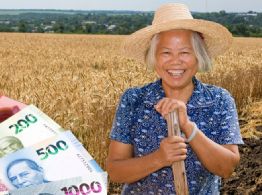 Producción para el Bienestar: ¿cuál será el pago mínimo para los productores de Yucatán este 2026?