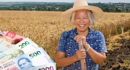 Producción para el Bienestar: ¿cuál será el pago mínimo para los productores de Yucatán este 2026?