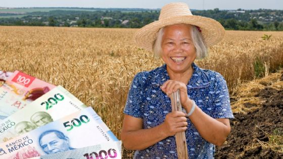 Producción para el Bienestar: ¿cuál será el pago mínimo para los productores de Yucatán este 2026?