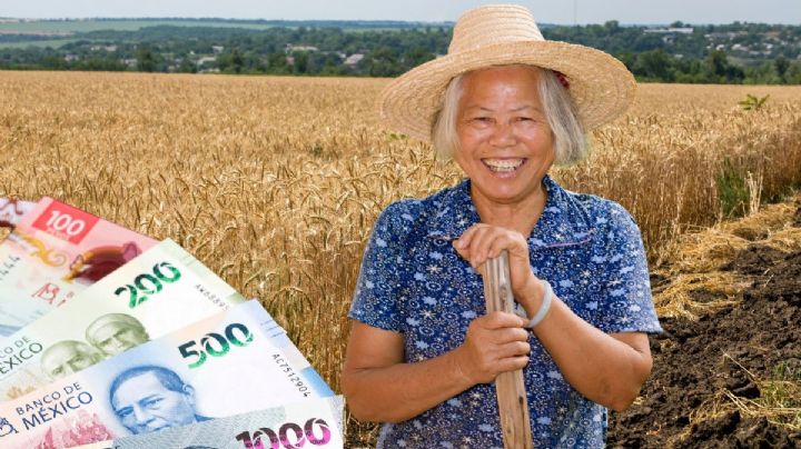 Producción para el Bienestar: ¿cuál será el pago mínimo para los productores de Yucatán este 2026?