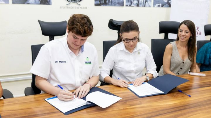 DIF Mérida y CICY incentivan estrategias para mejorar el desarrollo y la inclusión