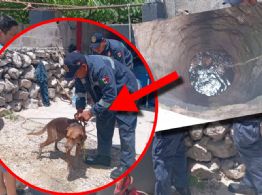 Rescatan a un perrito atrapado en el fondo de un pozo en Umán: así se vivió el momento
