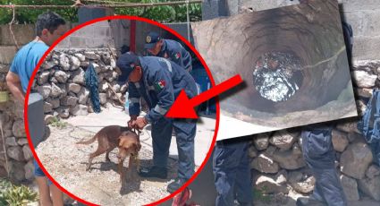 Rescatan a un perrito atrapado en el fondo de un pozo en Umán: así se vivió el momento
