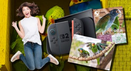 Rifa con Causa 2026: la iniciativa con la puedes ganar una consola de Nintendo solo cuidando aves