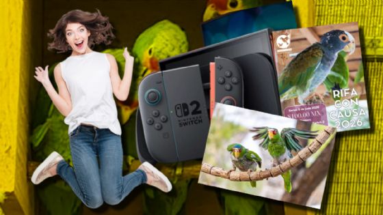 Rifa con Causa 2026: la iniciativa con la puedes ganar una consola de Nintendo solo cuidando aves