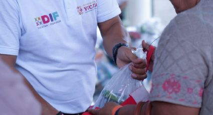 DIF Yucatán entrega más de 64 mil canastas alimentarias: requisitos y cómo recibir el apoyo