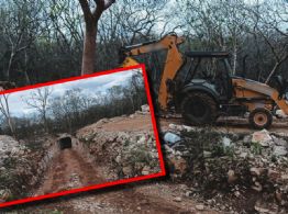 Profepa clausura proyecto turístico en Abalá por daños a selva maya y cenote en Yucatán