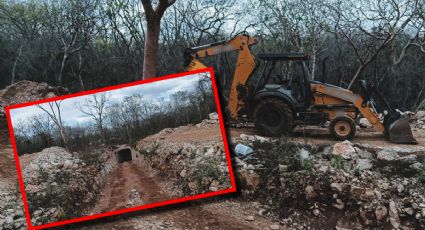 Profepa clausura proyecto turístico en Abalá por daños a selva maya y cenote en Yucatán