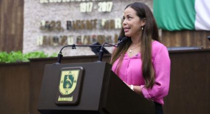 Diputada pide vigilancia  para evitar afectaciones a flamencos tras controversia de influencer