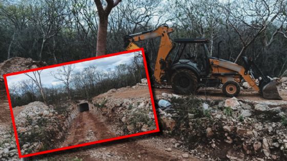 Profepa clausura proyecto turístico en Abalá por daños a selva maya y cenote en Yucatán