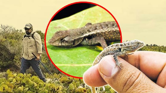 Calor extremo amenaza a esta especie endémica de Yucatán: UNAM alerta por posible daño irreversible