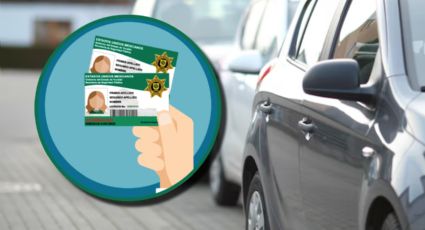 Licencias de conducir en Yucatán: ¿qué conductores tendrán el 50% de descuento en el trámite?