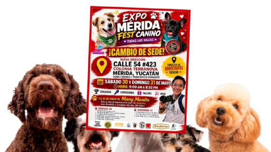 Expo Mérida Fest Canino 2026: Fechas, nueva sede y cómo apoyar a lomitos comunitarios