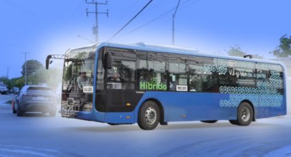Va y Ven estrena rutas con viajes GRATIS: estos son los nuevos horarios, paraderos y destinos