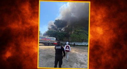Temporada de incendios en Yucatán: Protección Civil emite RECOMENDACIONES CLAVE para evitar riesgos