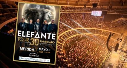 Concierto de Elefante en Mérida: 5 canciones que no pueden faltar para este 8 de mayo
