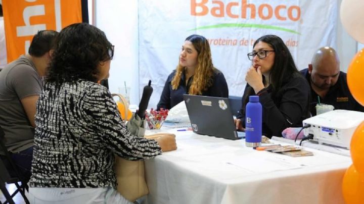 Feria Nacional del Empleo: Acercan oportunidades laborales a Mérida
